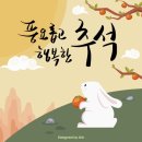 오픈 테니스 볼머신 연습장