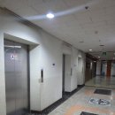 안양 메이크업 [율리아메이크업] 돌잔치 메이크업 후기 헤어까지 만족했던 방문기