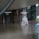 CU 화곡행복 | 12월 (2)