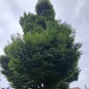 창의리 마을회관 이미지