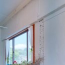 초정화원 이미지