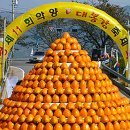 하동악양대봉감축제 2019 이미지