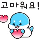 브이아이피썬팅