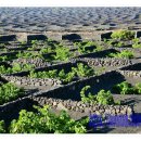 란사로테 | 카나리아 제도 8일 여행 - 그란 카나리아, 푸에르테벤투라, 란사로테의 매력 탐방