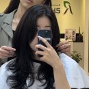 라비쏘헤어