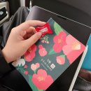 A2 | 델프 A2 후기를 써보앗습니다