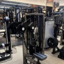 라이언짐 이미지