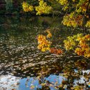 주왕산면사무소 이미지