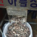 메르치 이미지