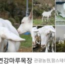 연강마루목장 이미지