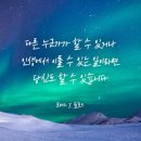비채나점핑