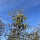 D01099 | [독일생활] D+171 독일에선 조깅을 해줘야지🏃🏻‍♀️(feat. 독일 미용실 남자 이용 후기)