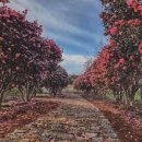 생동목장 이미지