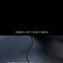 분유 먹다가 마약사범으로 몰린 여대생 이미지