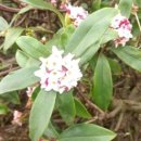 봄햇살약국 이미지