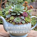 치유원예테라피 | 여성 우울감, 식물이 전하는 위로 – 원예치료가 정서 건강에 미치는 영향 (수원대 원예치료)