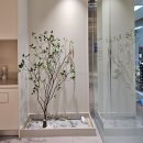 청담채한의원 | 인테리어 조화나무, 김포시 청담채 한의원 인조 실내조경