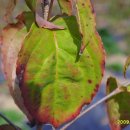 목원농장 이미지