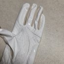 플렉스골프 | 골프장갑추천!-에이븐 플렉스 골프 장갑