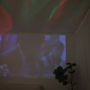 경기도 수원시 팔달구 정조로791번길 이미지