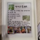 아이스플랜트 재배 이미지