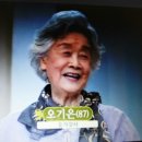 청춘 요가 이미지