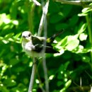 외연도6 이미지