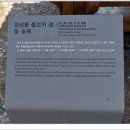 정상동 돌꼬지 샘 및 동제 | 정상동 돌꼬지샘및 동제(井上洞 石花井 및 洞祭)