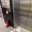 더블리스동물의료센터 | 부천동물병원 건강검진 결과│24시 옥길아라동물의료센터 방문 후기