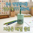 리라유치원 | 홈스쿨 문구 후기 | 리라그루브 연필부터 노르잇 전동 연필깎이까지!