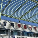 명순상회 | 강화풍물시장 강화5일장에 약쑥&쑥떡 사러가기