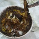 설빙순천 | [설빙] 계시내려온 이상 먹어야함 두바이초코설빙_가격.칼로리.후기 (별로안닮 ㅠ)