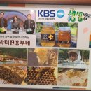 박터진 흥부네 이미지