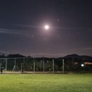 몽골몽골 에서 벋어나기 ㅎ 이미지