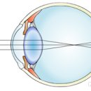 룩스토어 청라언덕점 이미지