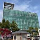 여수비치 | 여수 낭만포차거리 숙소 추천 엑스포역 근처 전객실 오션뷰 펜션 평일 여행 후기 여수비치펜션