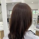 춘천미용실 | 아윤채클리닉으로 손상모 살리는 법 ｜ 춘천미용실 어니스트헤어 후기