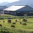 병영축산 이미지