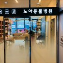 도화동물병원 이미지