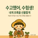 송파농장 | 강동·송파·하남 수험생 혜택🌿 미니식물 선물 이벤트 진행중 | 와이키키농장