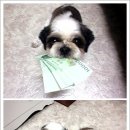 낙성대동-13 이미지