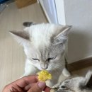 구월농장 이미지