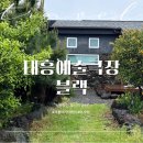 태흥 예술극장 이미지