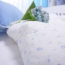 스카이블루마운틴 이미지