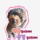 발바리스타