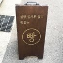 금양식방 티스토리