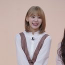 사쿠라