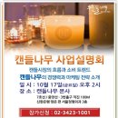 캔들나무 이미지