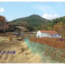 평풍농장 이미지