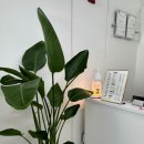 이음(Eeum) 이미지